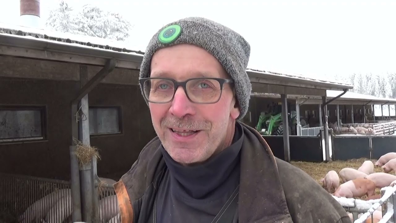 Hannun sikaonnelliset possut!