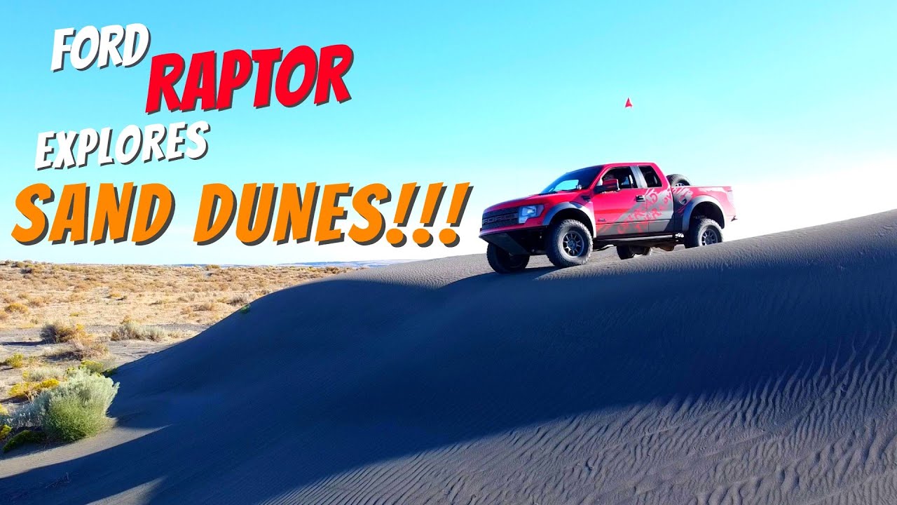 RAPTOR ON MOSES LAKE SAND DUNES