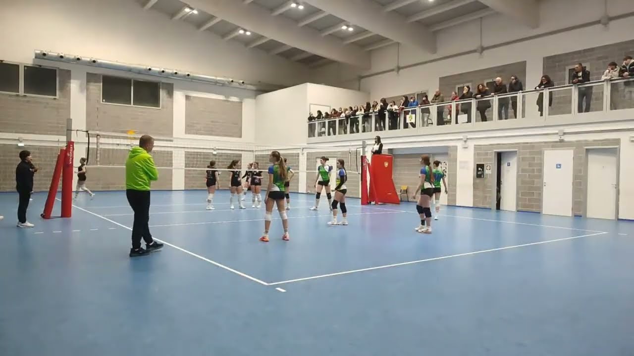 Volley, Pallavolo