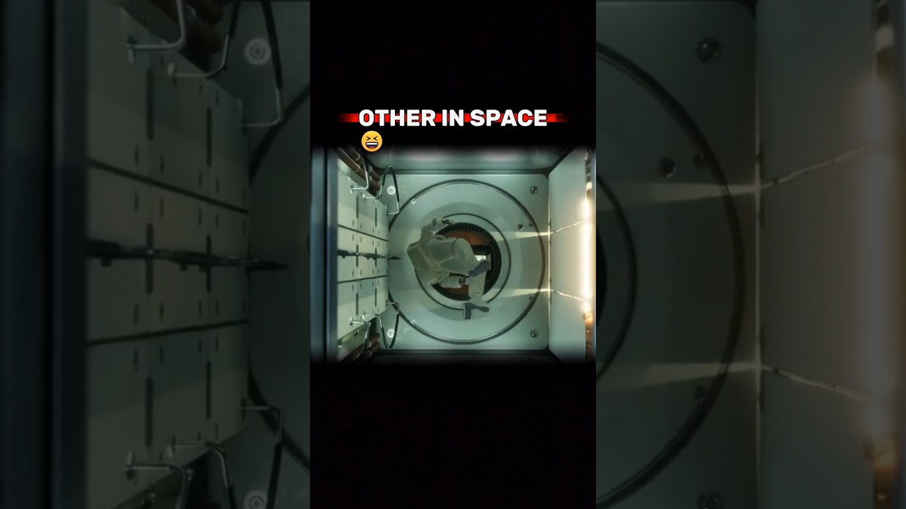 How Humans and Animals React in Space! 