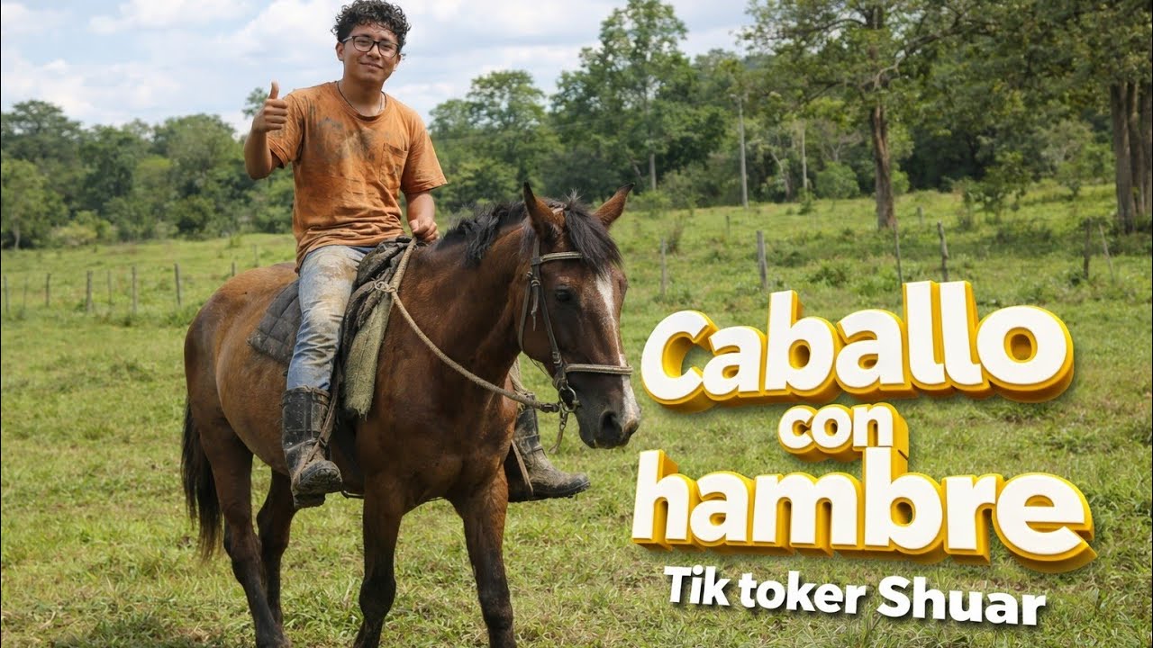 Caballo con hambre ganado con hambre tiktoker shuar