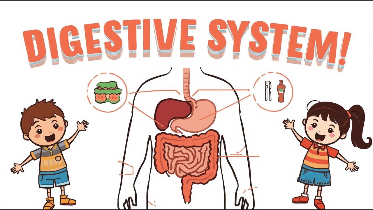 Digestive System for Kids | How Digestion Works in Human Body | Science Video for Children