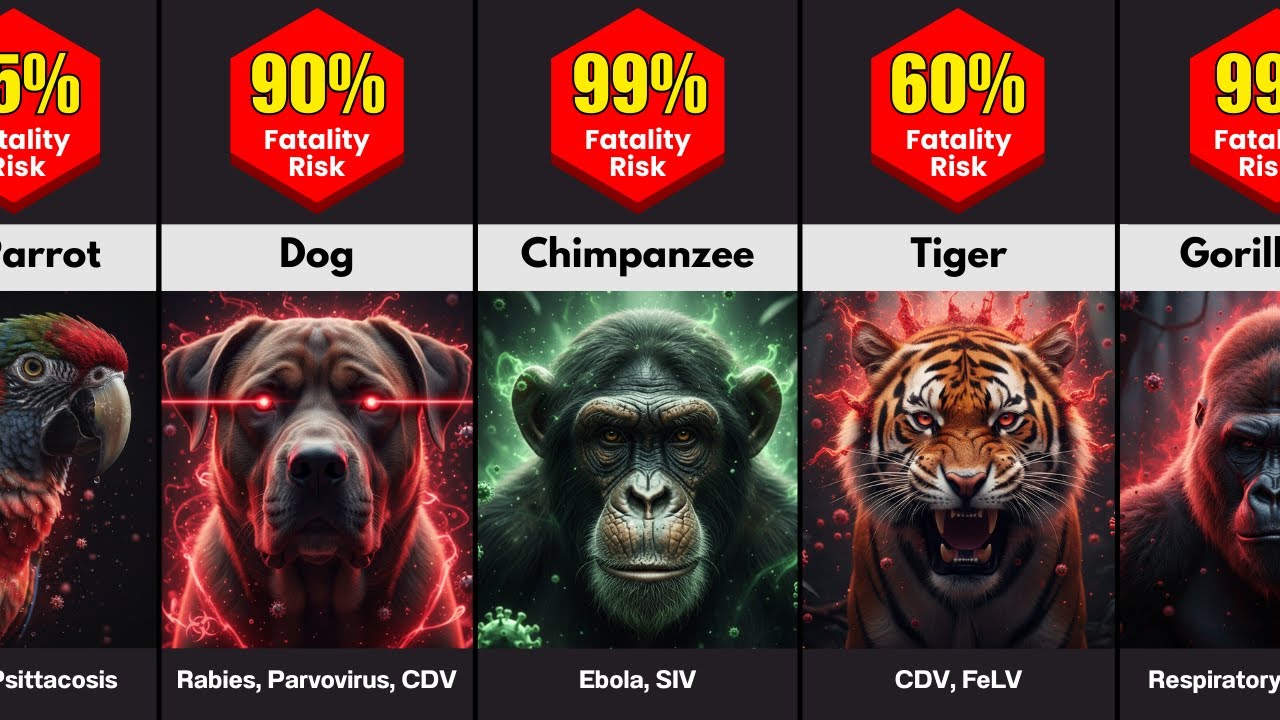 Animals with the Deadliest Diseases – Fatality Risk