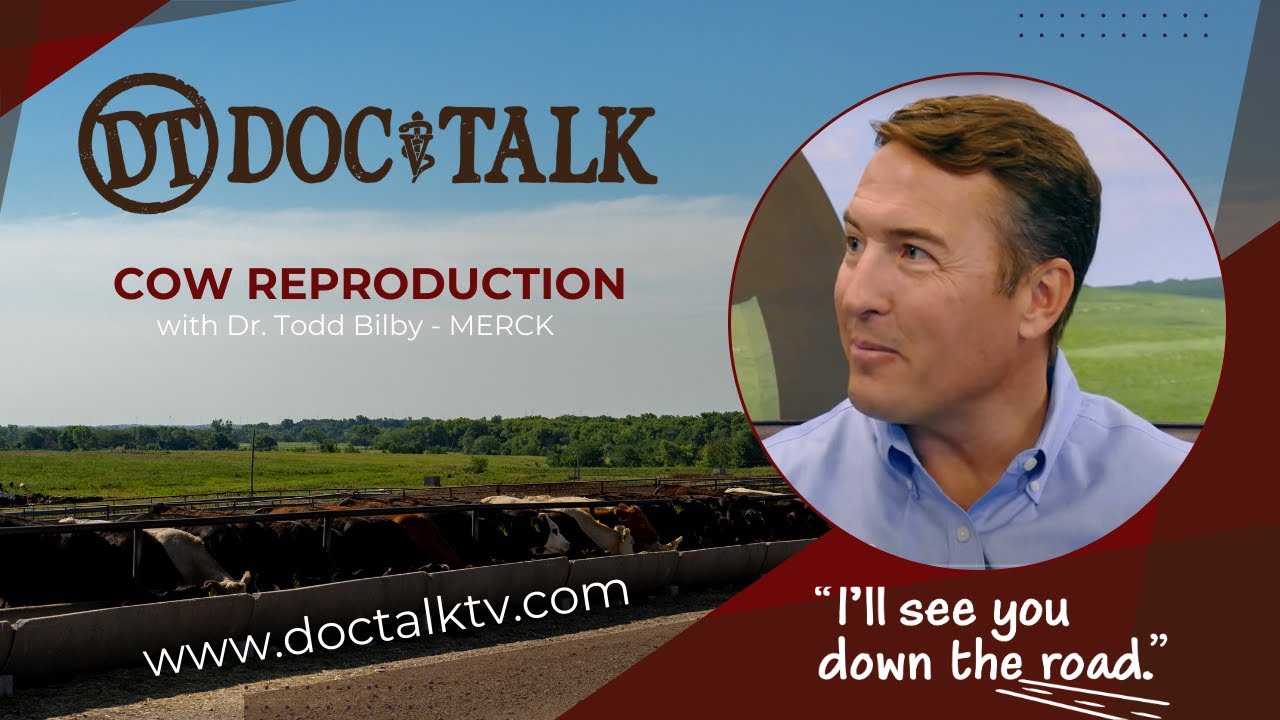 DocTalk Ep 520 - Cow Reproduction with Dr. Todd Bilby