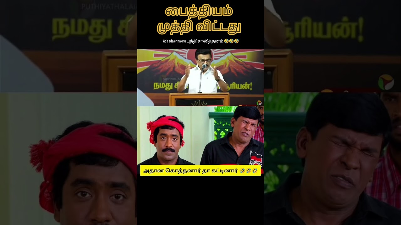 💥🇪🇦 பைத்தியம் முத்தி விட்டது 🇪🇦💥#cmvijay #thalapathyvijay #tamilnadunews
