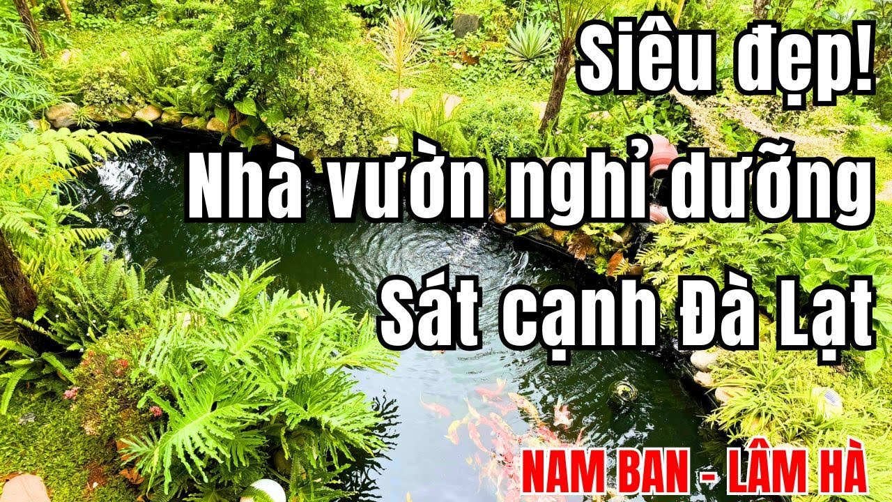 GỒNG LÃI KHÔNG NỔI BÁN LUÔN CĂN NHÀ NGHĨ DƯỠNG SẴN TIỂU CẢNH HỒ CÁ KOI TT NAM BAN SÁT CẠNH ĐÀ LẠT