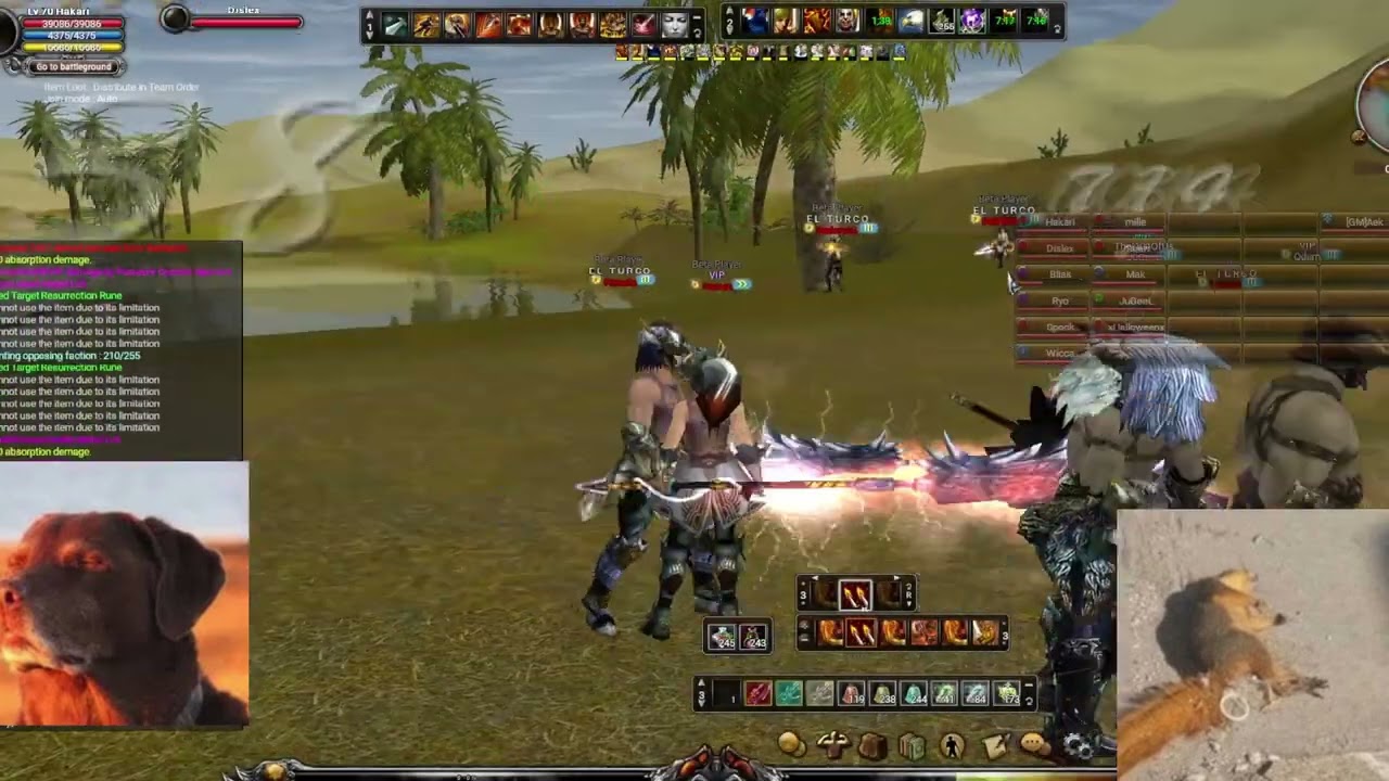 Shaiya nebula PvP (New private server 2026) Join the event and get a SET LV 70 rdy to PVP ENG/ESP