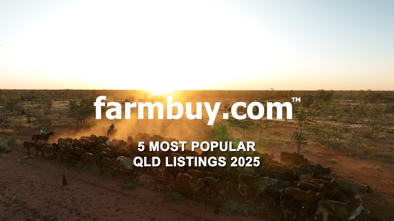 5 Most Popular QLD Listings of 2025 | FARMBUY.COM