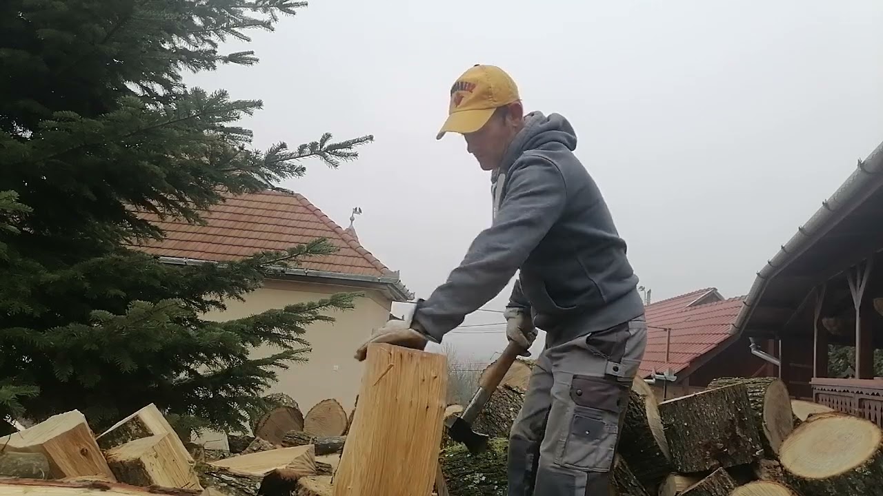 VIATA MUNCA LA TARA 2024