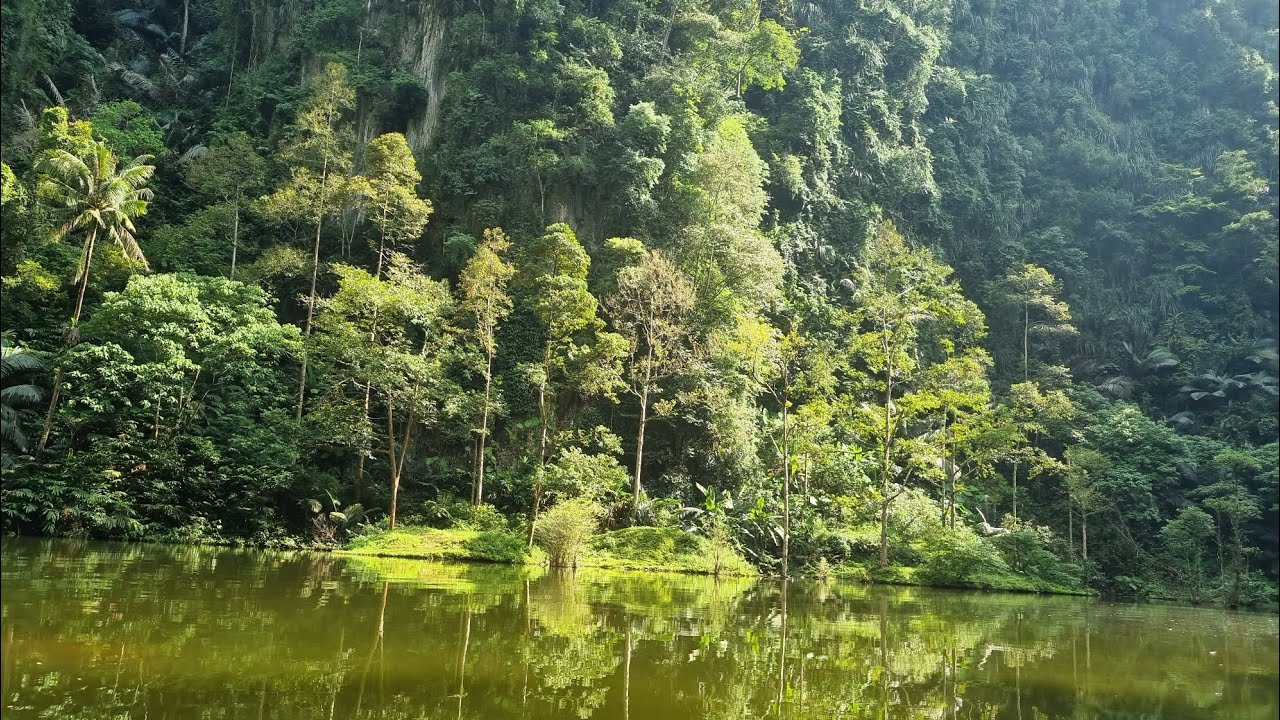 Malezya'da 2. Durağım; İpoh. Yerel lezzetler, Ayna Gölü ve Korku dolu anlar...