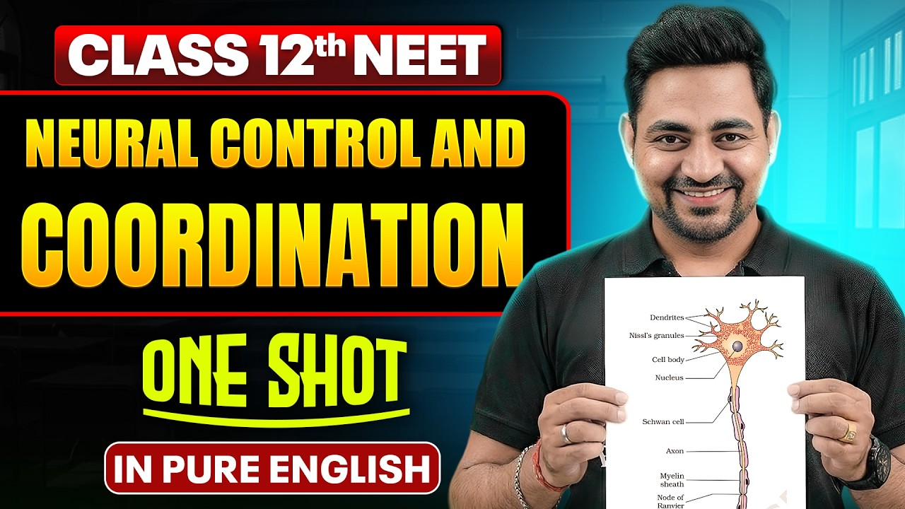 NEURAL CONTROL AND COORDINATION |Class 11th ONE SHOT Complete NEET Chemistry in Pure English