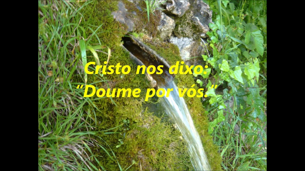 TI ES FONTE DA VIDA