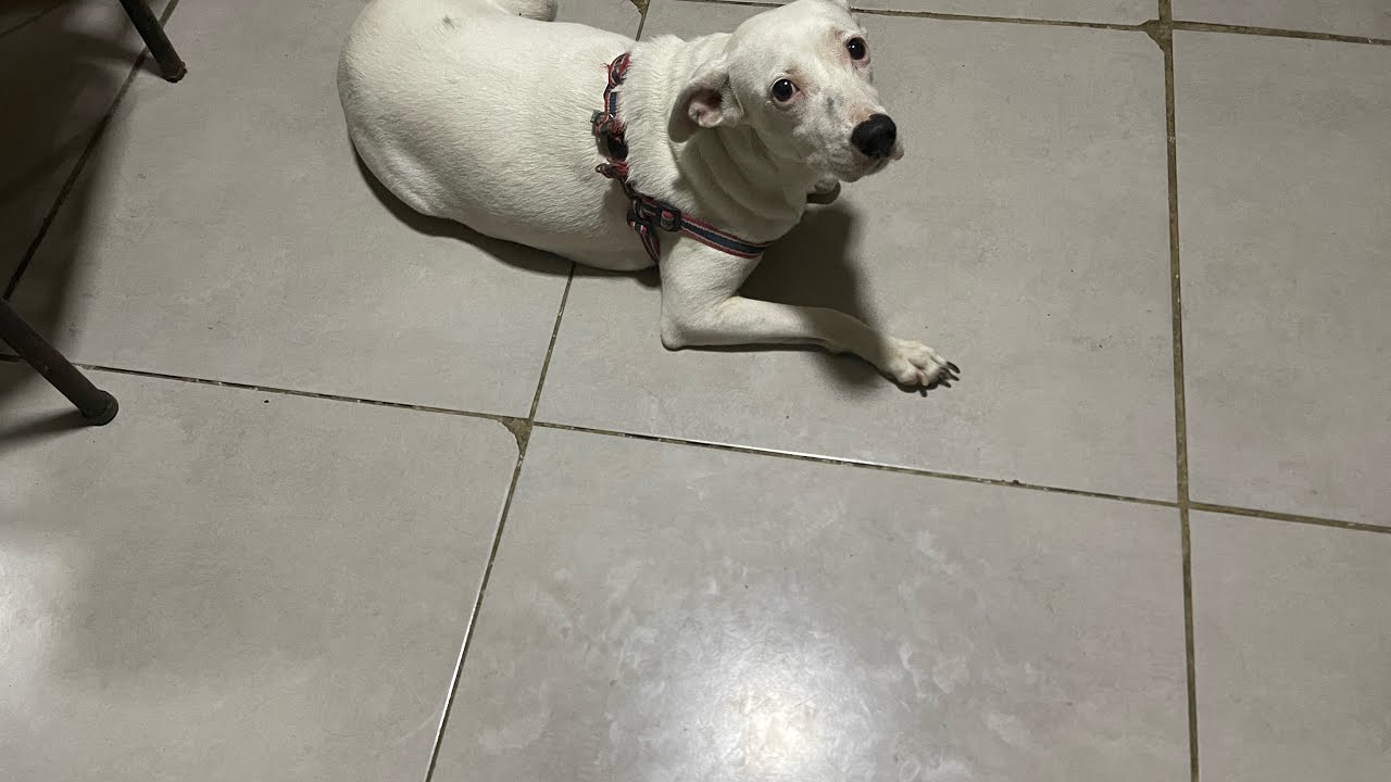 Sabadão do ser amado(a)sentimentos, pensamentos,atitudes, desfecho???