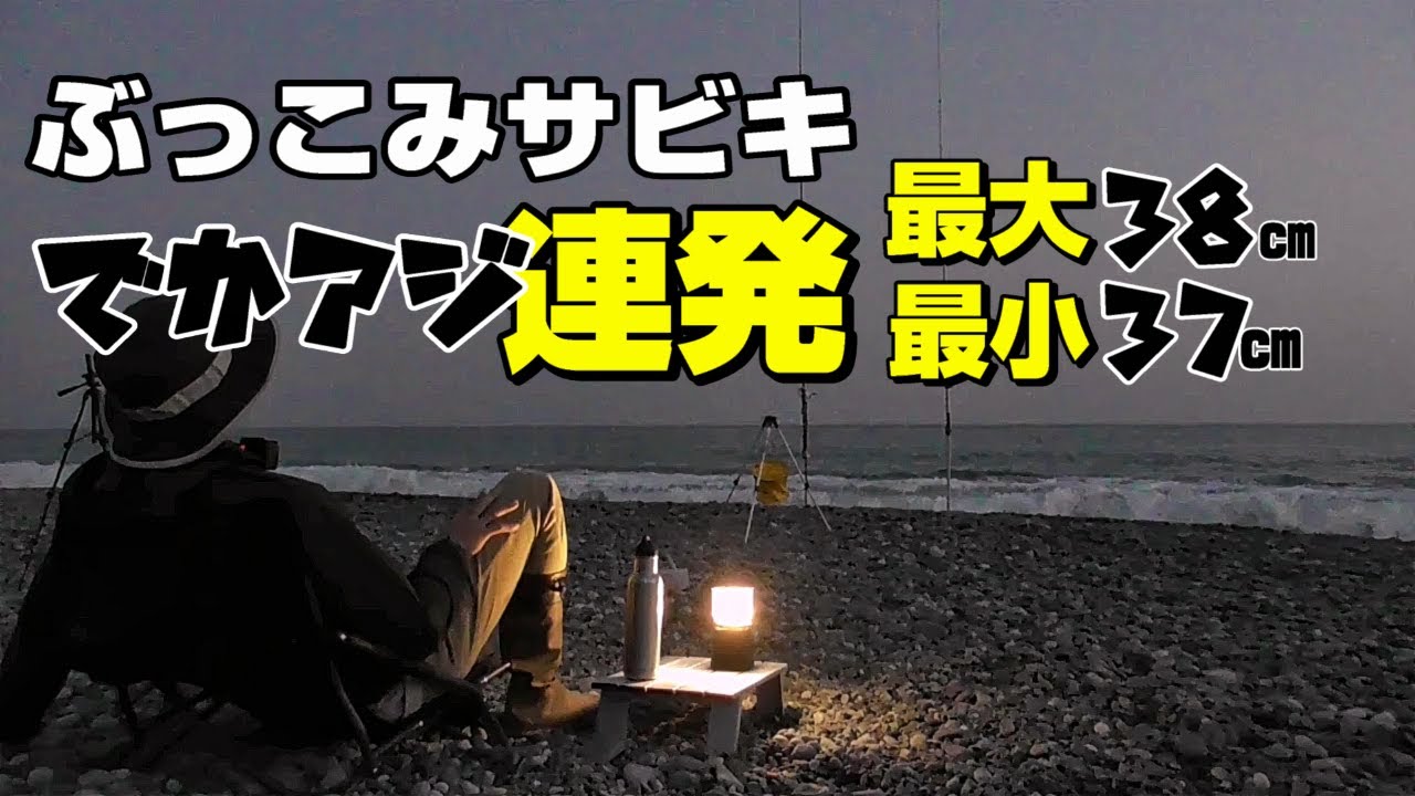 西湘11月ぶっこみサビキ最大38cm！でかアジ連発ぶっこみサビキ／冬のギガアジチャレンジ