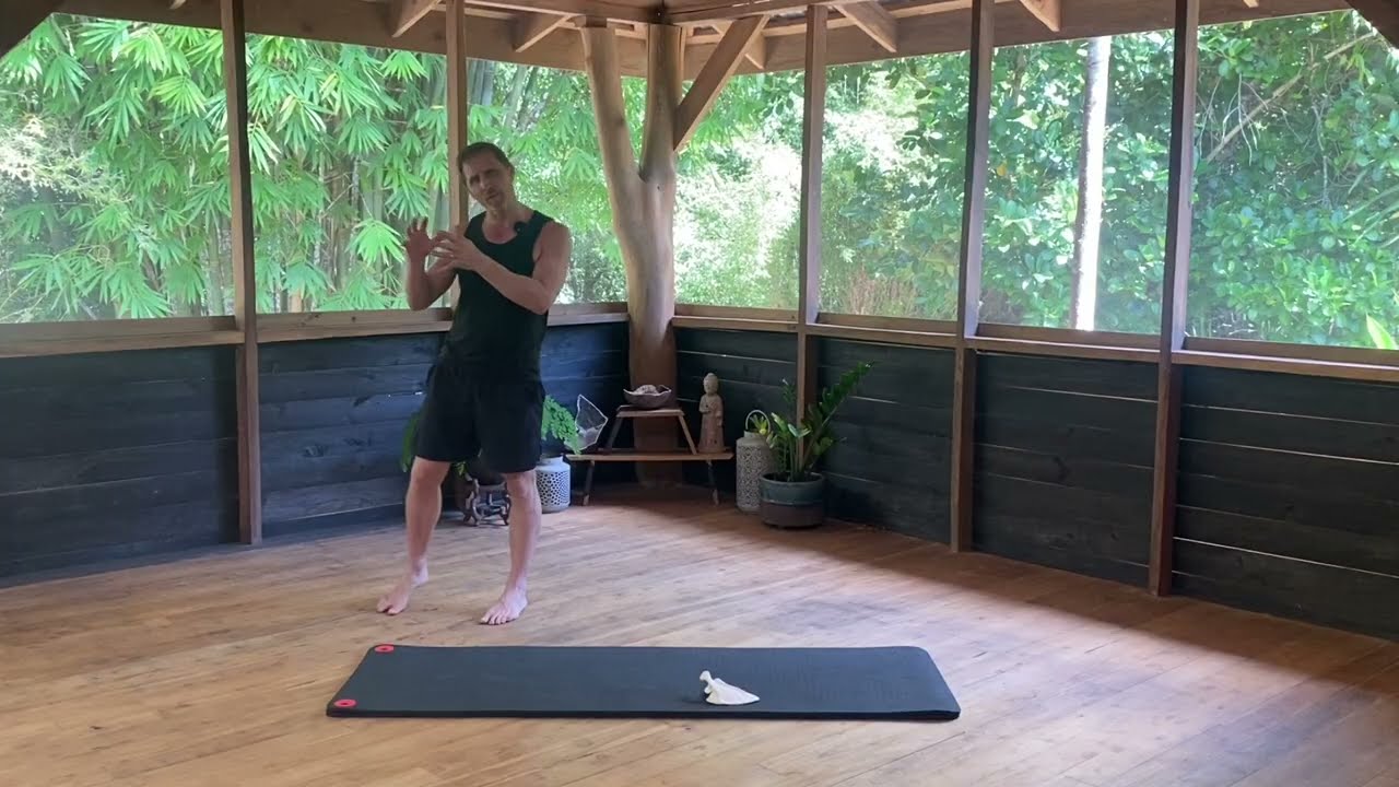 Shoulder blades - video four with Danny Bridgeman - Tone of serratus anterior 