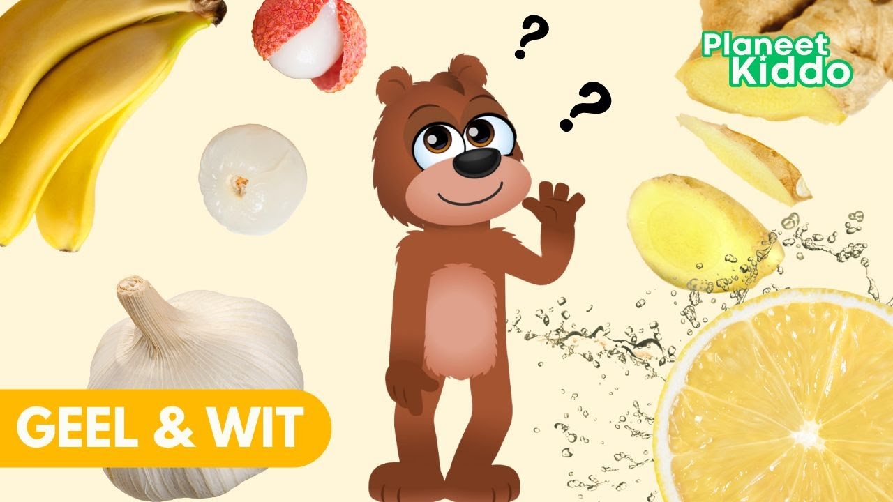 🍋🌽Groente Of Fruit? Geel En Wit Leren | Geel & Witte Groenten & Fruit | Groep 1/2 | Peuters&Kleuters