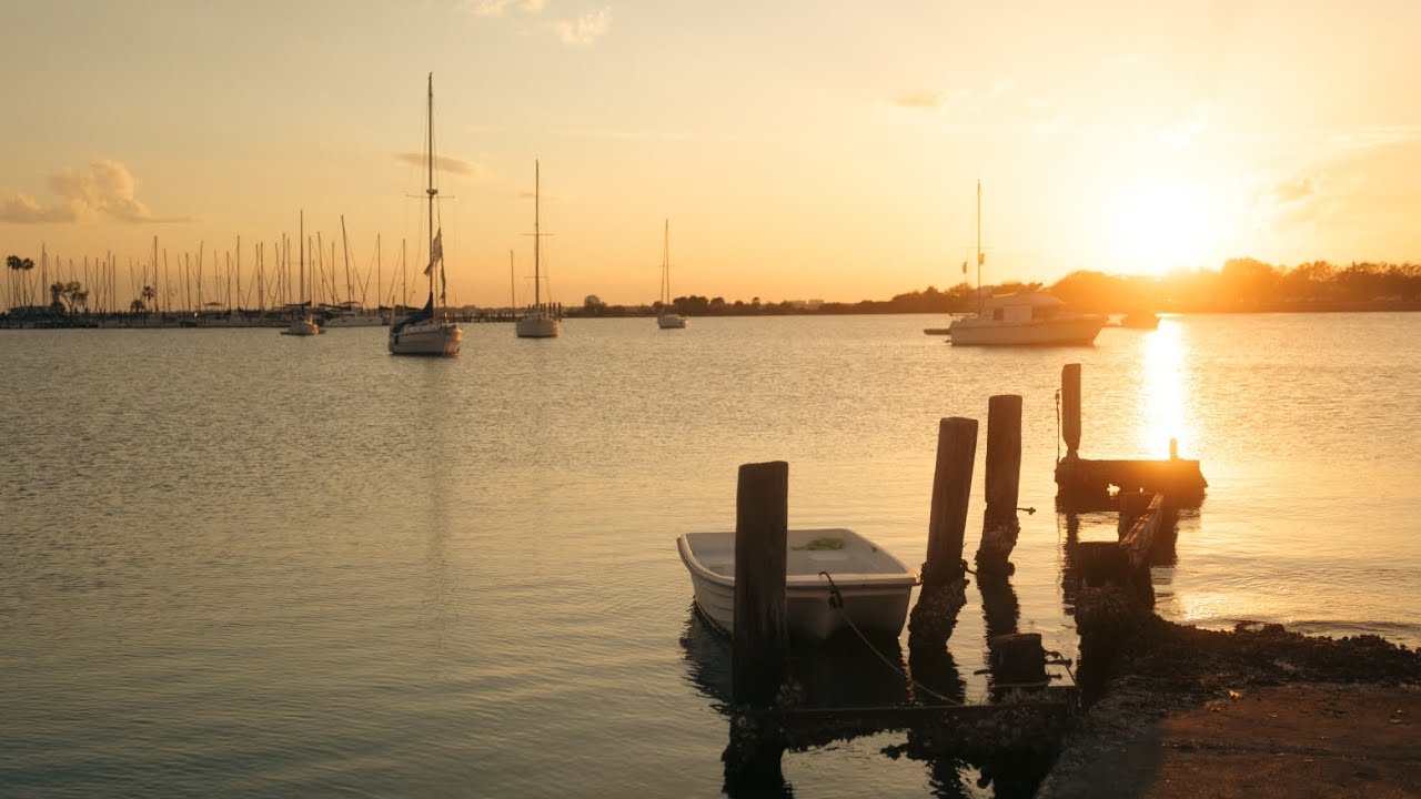 Davis Island Beach Tampa. Shot with the Black Magic Pocket 6k full frame cienema camera. 