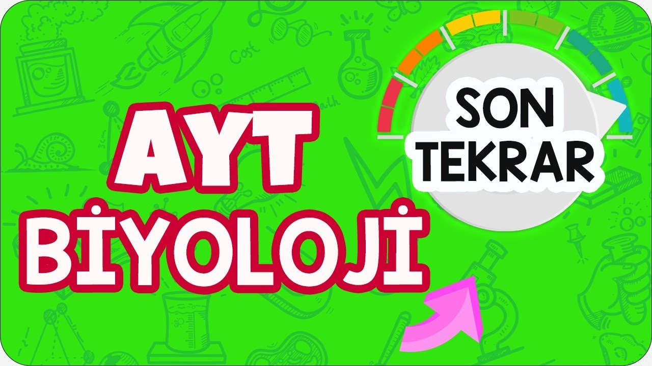 AYT Biyolojiyi Tek Videoda Full Tekrar Et!