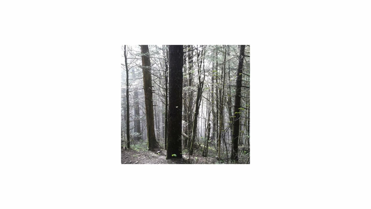 free sign crushes motorist + mage tears type beat - 