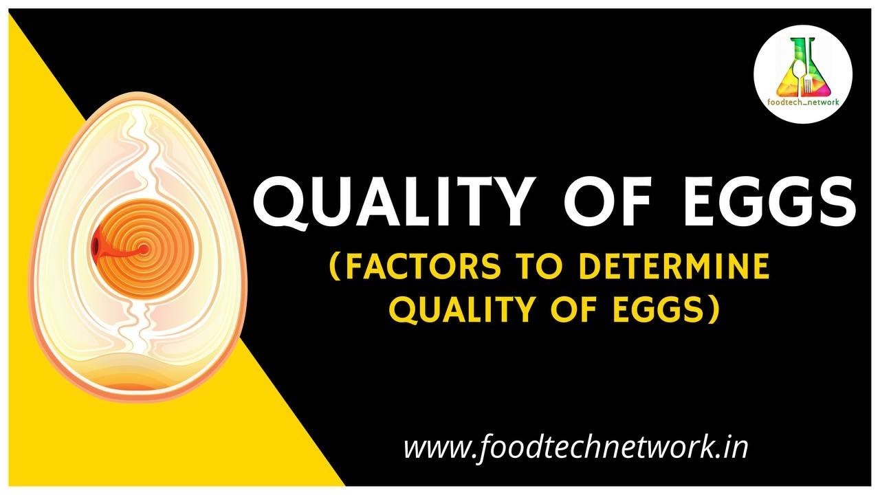 Quality of Eggs (Factors to Determine quality of eggs) #foodtechnetwork