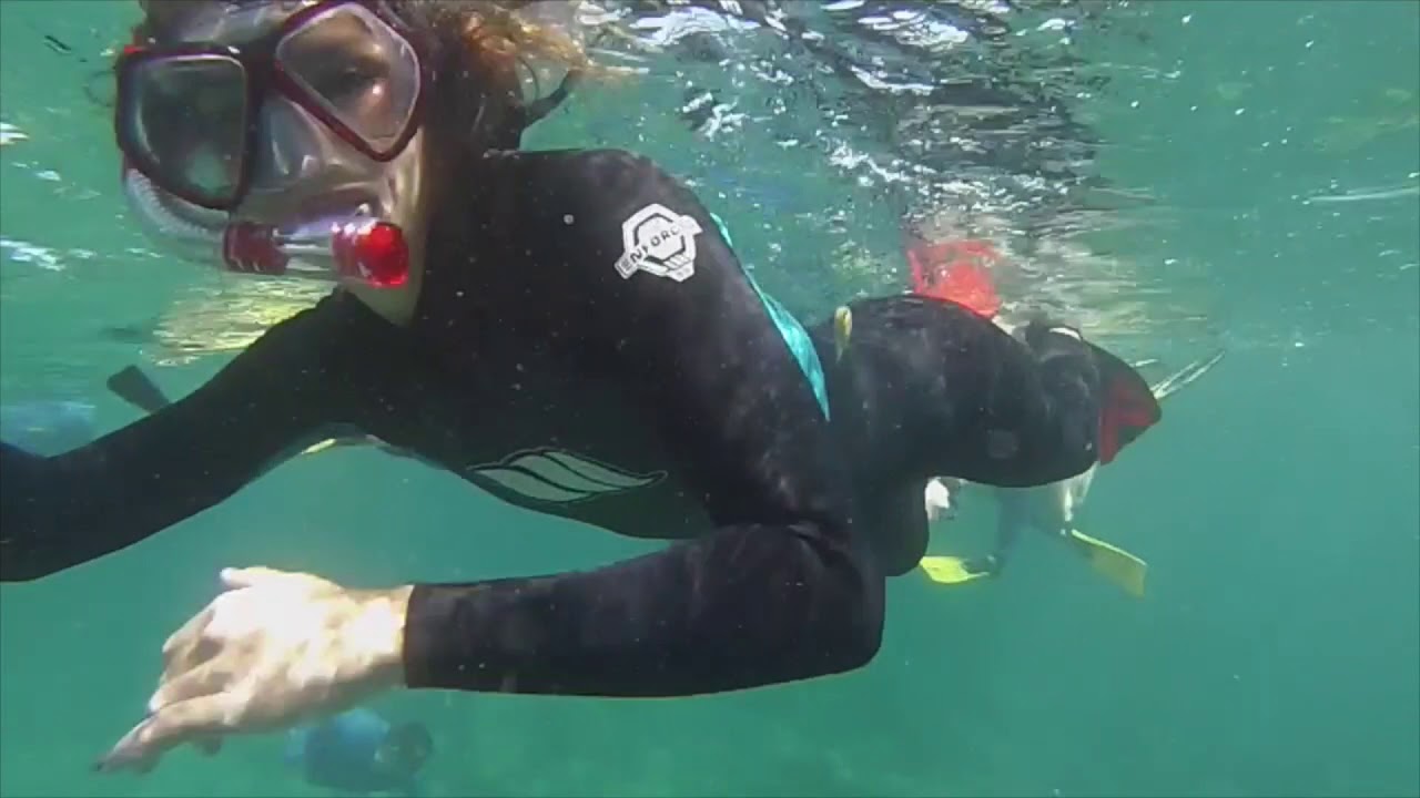 6 months around Australia