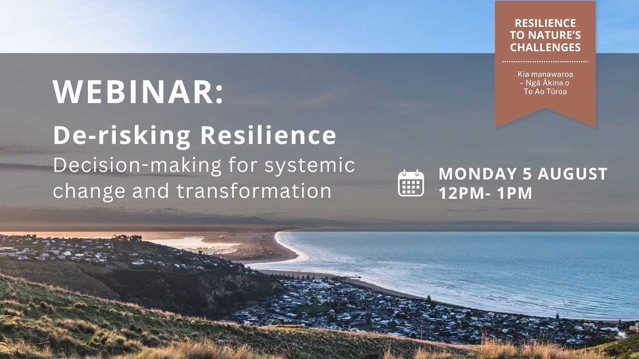 Webinar: De-risking Resilience