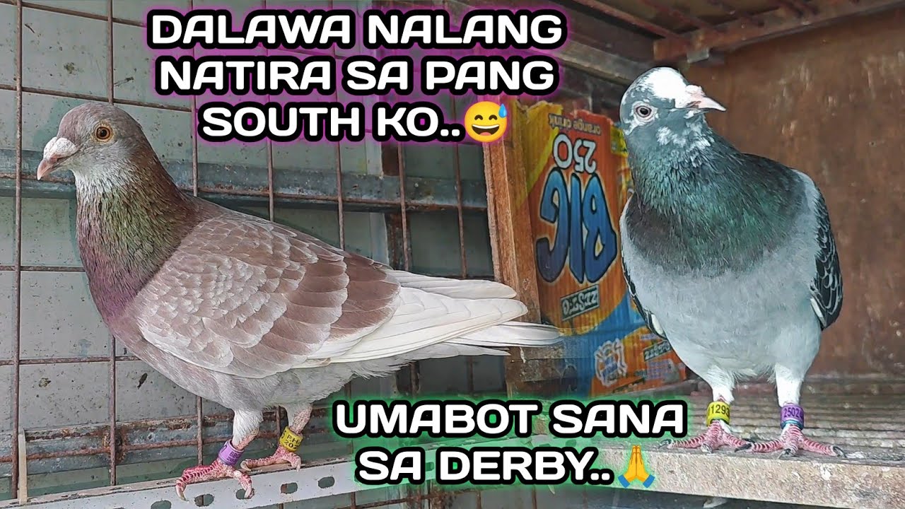 DALAWA NALANG NATIRA SA PANG SOUTH KO..😅 | UMABOT SANA SA DERBY..🙏