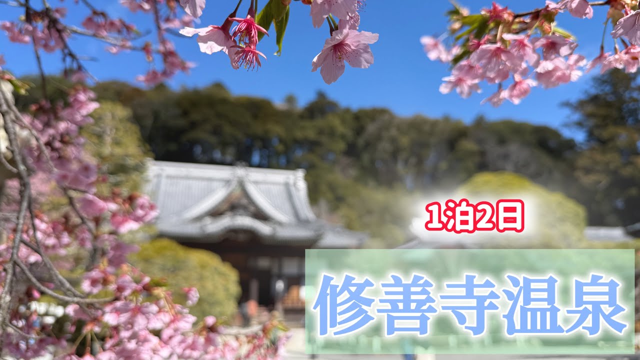 【修善寺】伊豆に温泉入りに行ったら楽しすぎた！　#修善寺 #土肥金山　#さわやかハンバーグ 
