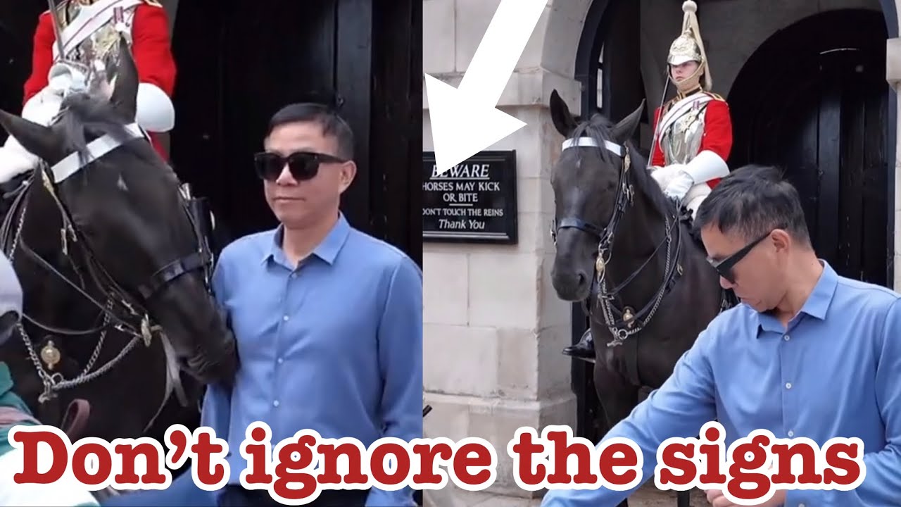 RUDE IDIOTS ignored the signs, MESSED THE WRONG KING’S GUARD horse And THIS HAPPENED!!!