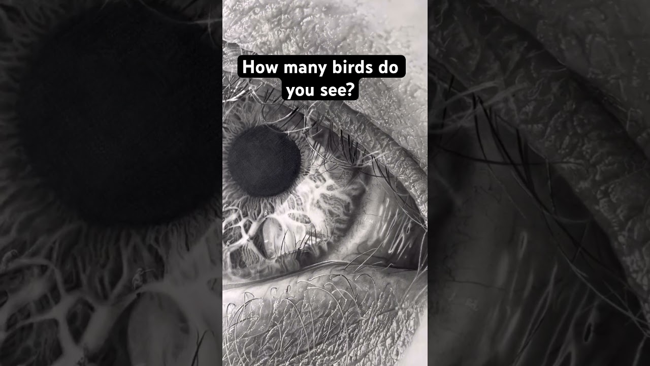 How many birds do you see?