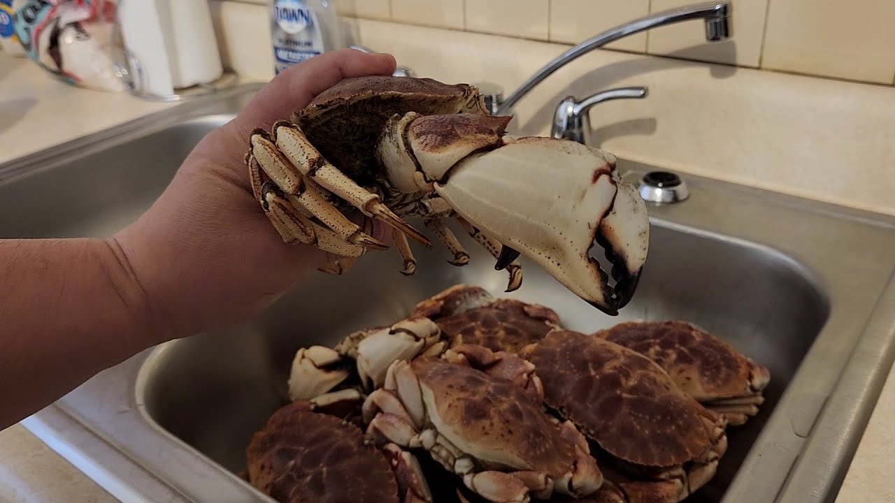How to cook ROCK CRABS with my special recipe #rockcrabs #cooking #rockcrabrecipe
