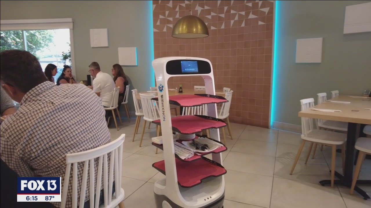 South Tampa restaurant has robotic waiter on staff