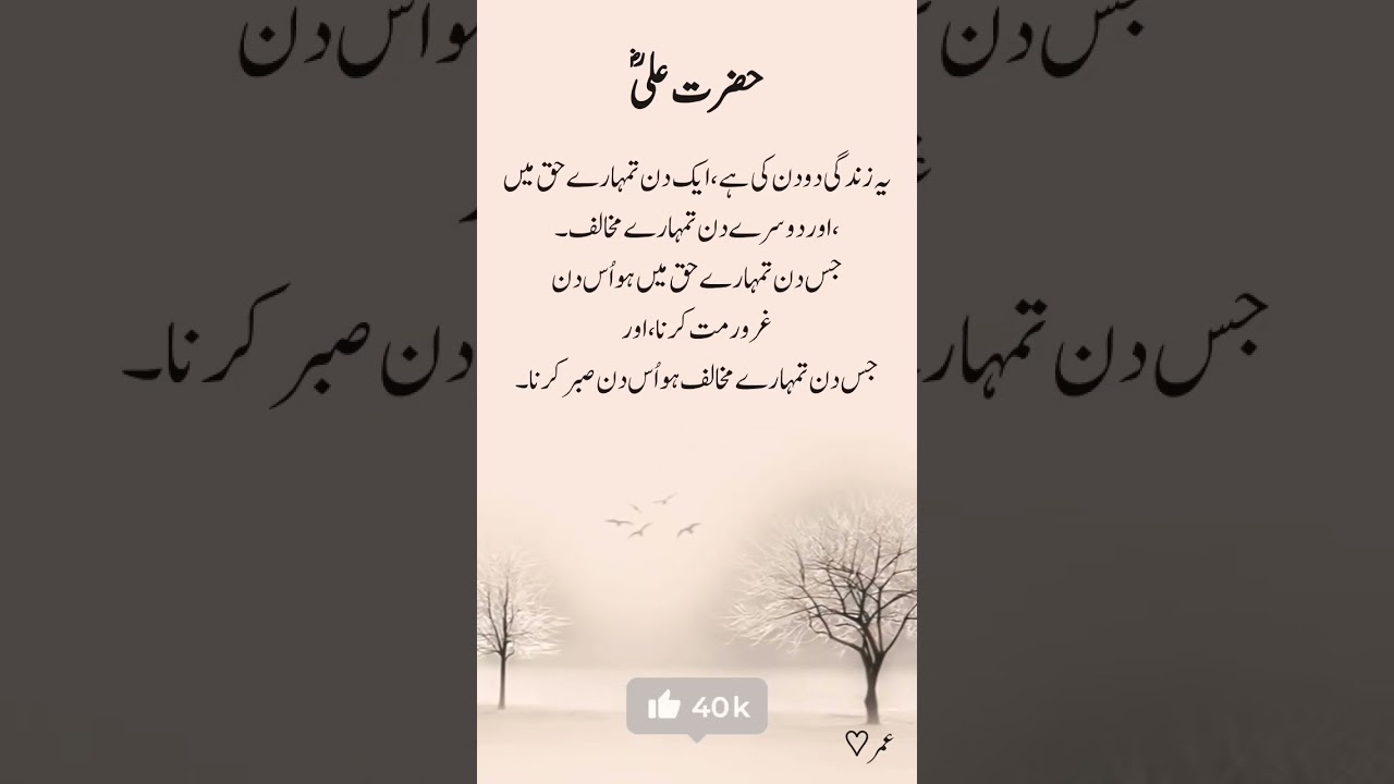 Imam Ali Quote About Life | Wisdom of Hazrat Ali (RA) | Islamic Reminder