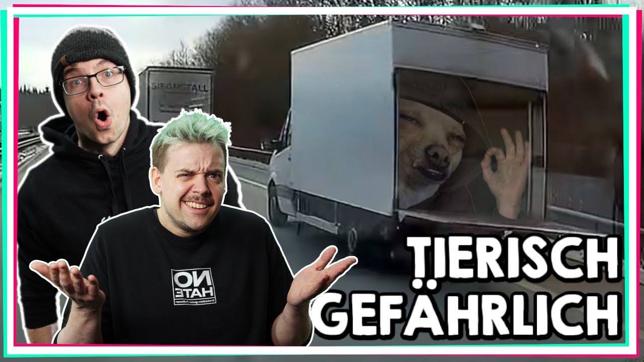 Geisterfahrer-Bus im Kreisverkehr & ungesicherte Ladungen | Fahrnünftig 168 | Reaktion