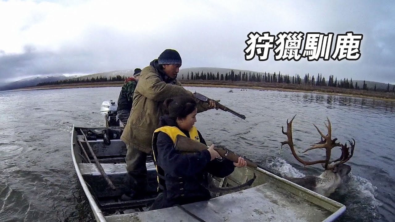 阿拉斯加零度以下的生活：狩獵上千斤頂駝鹿，設陷阱抓北極狐，採購15000公升燃油，一口氣狩獵6頭馴鹿！紀錄片