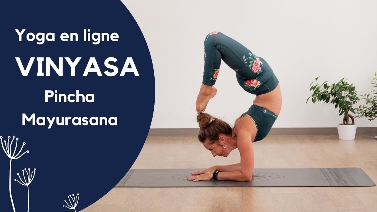 Cours de Vinyasa Yoga avancé - Pincha Mayurasana