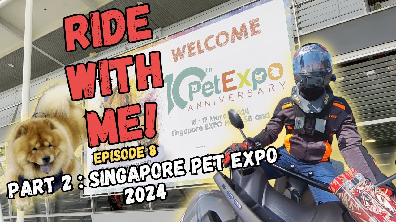 Petting Cute Dogs and Supporting Kennels -  Ride With Me Ep 8 : Part 2