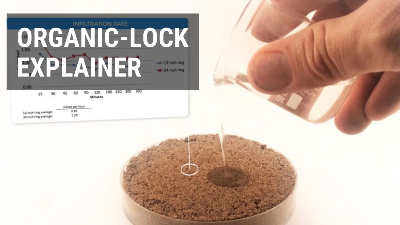 Organic-Lock Explainer