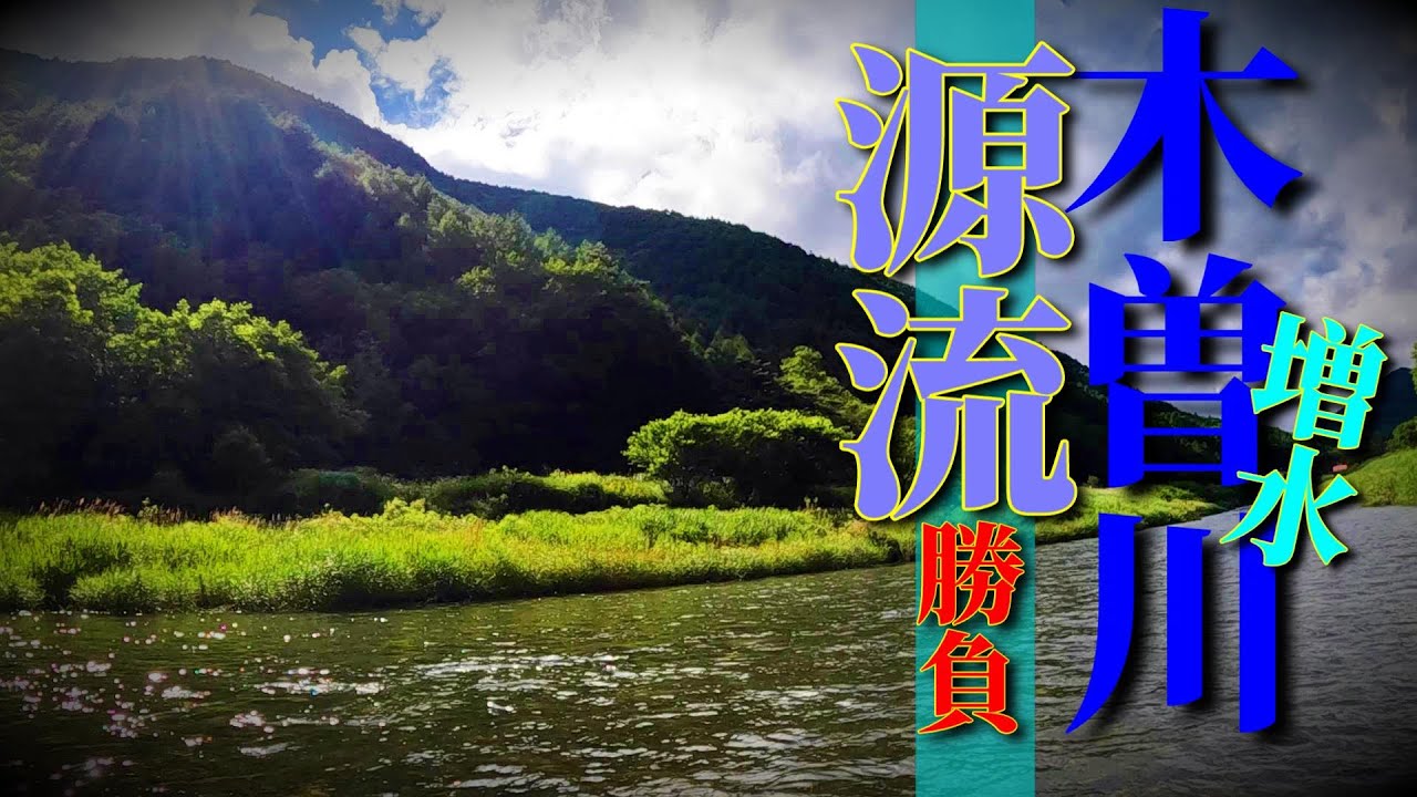 【木曽川本流釣り】　増水を避けて本流の源流へ 　増水したら特に釣り上がることが厳しい本流。源流域でチャンスを探る！　BC521SSS T×Petronius 50UL