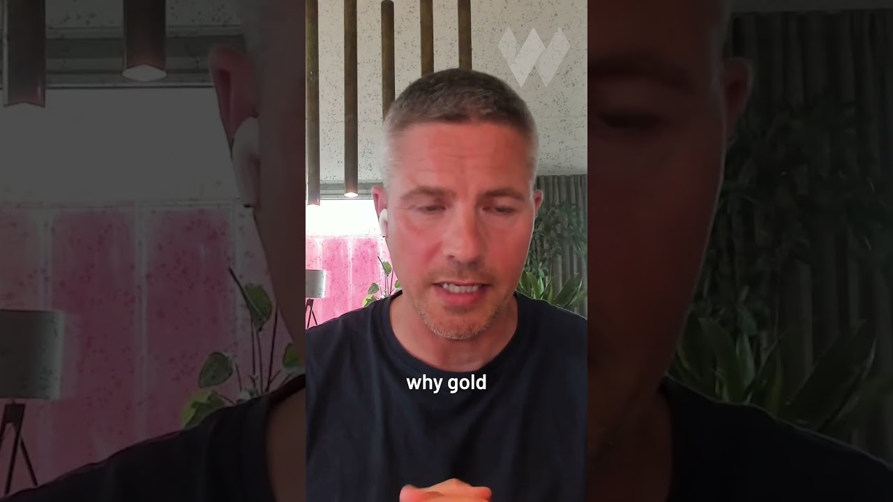 Holding Gold During Inflationary Times | Henrik Zeberg