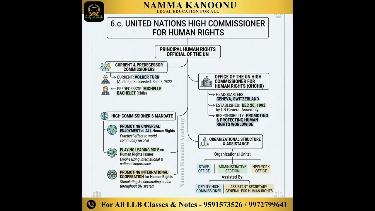 📘 UN High Commissioner for Human Rights &ndash; Quick Insight
