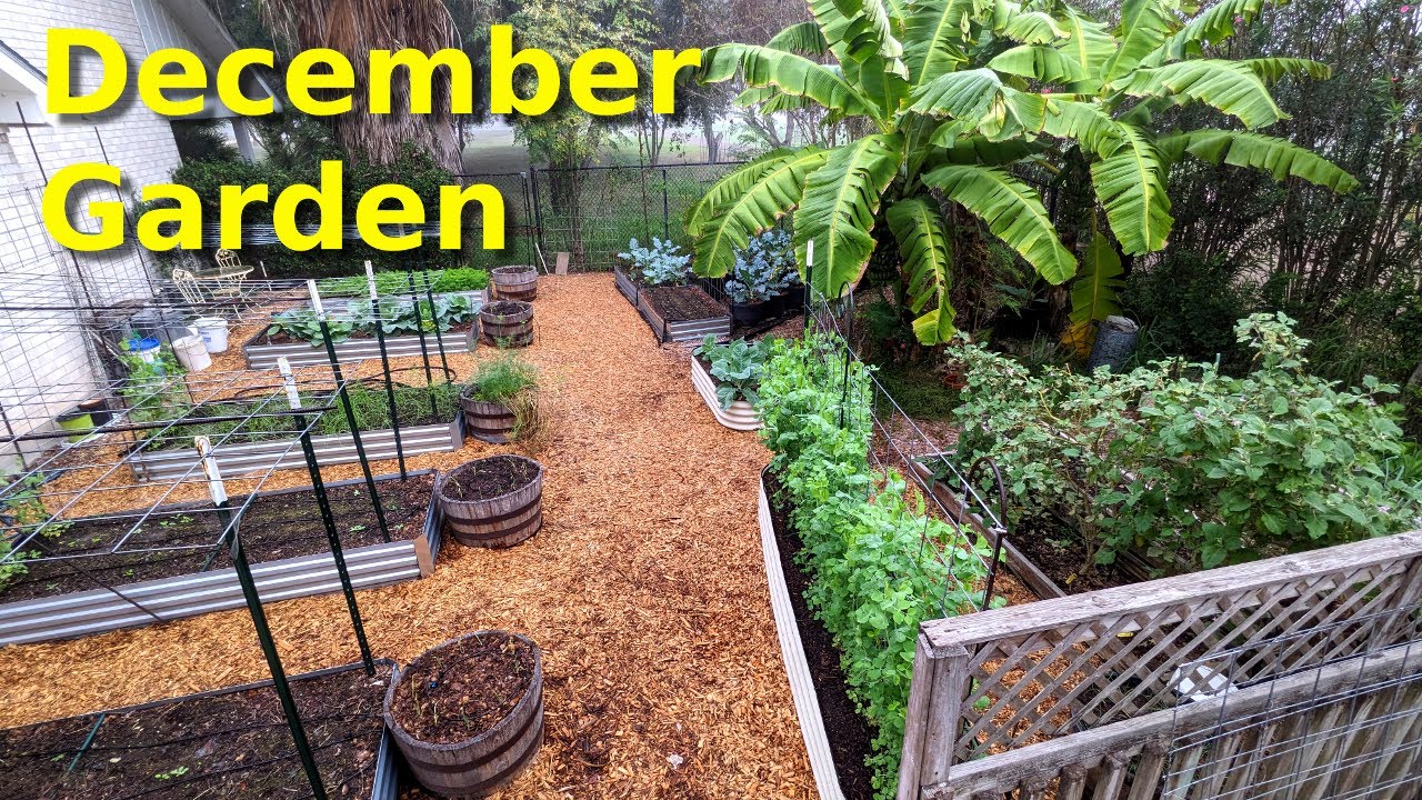 December Garden in Full Swing at Deep South Texas