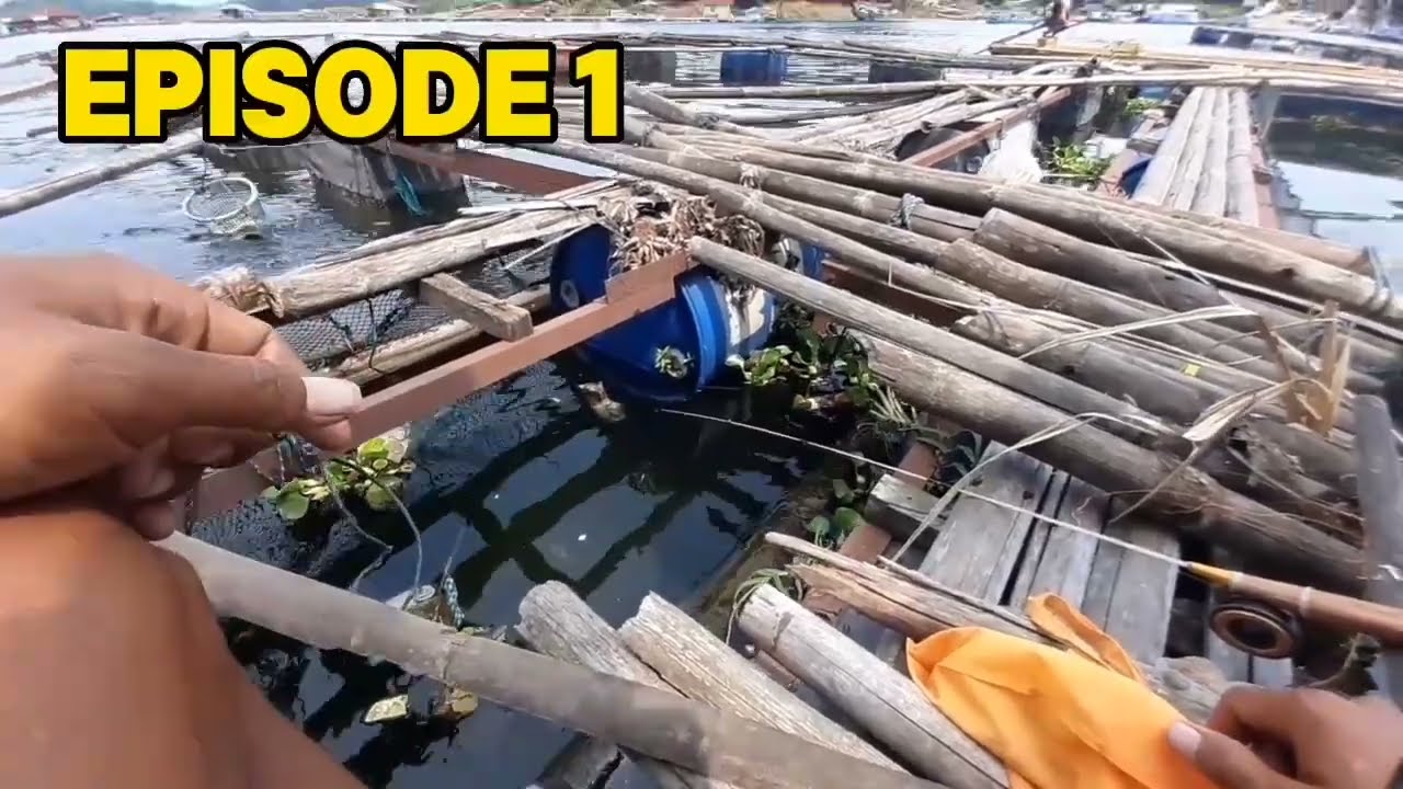 EPISODE #1 MANCING IKAN RED DEVIL DI SELA-SELA KERAMBA