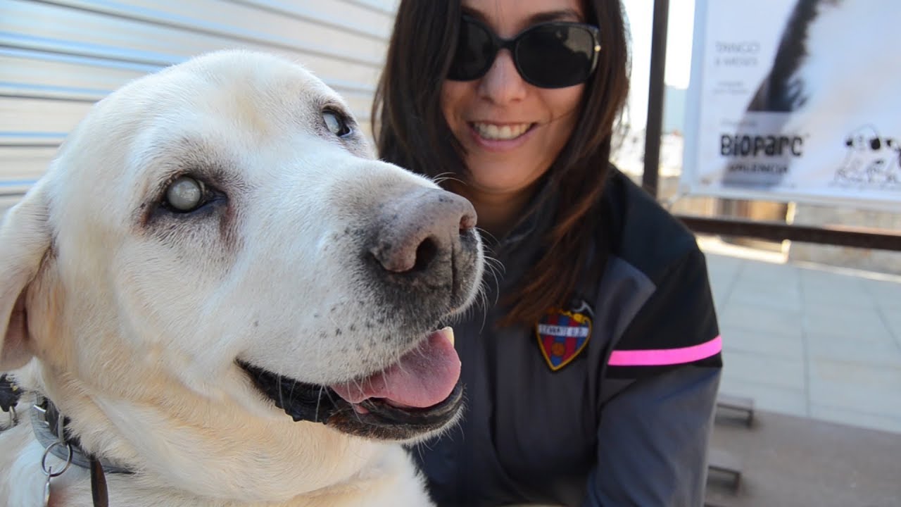 ¿Por qué Mónica Merenciano adoptó un perro ciego?