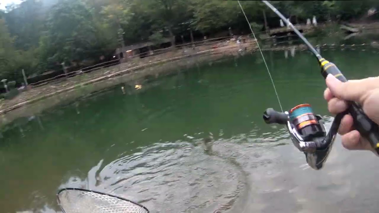 Tecniche di Trout Area al Lago Fonteviva