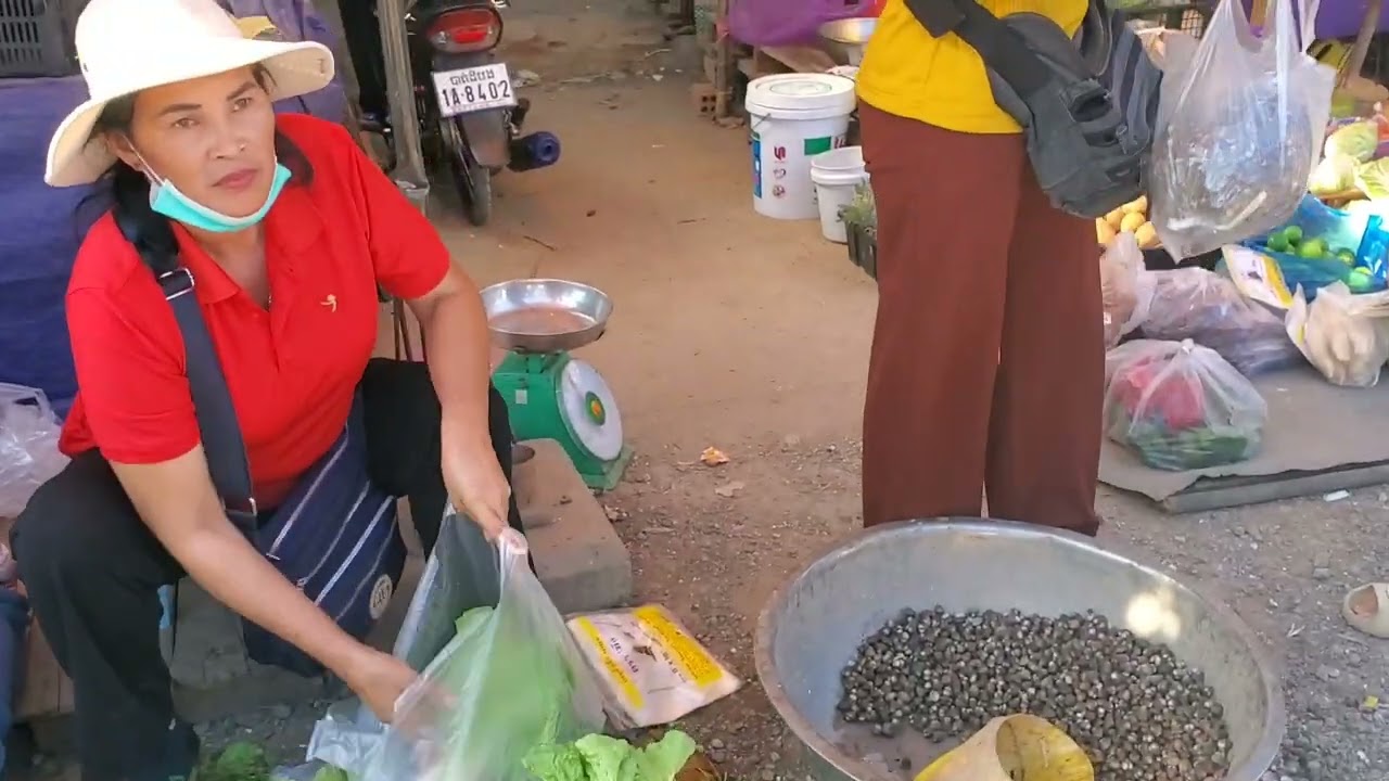 Cambodia trip 2023 _#10_Going to market with sister. #usa #khmer #trip
