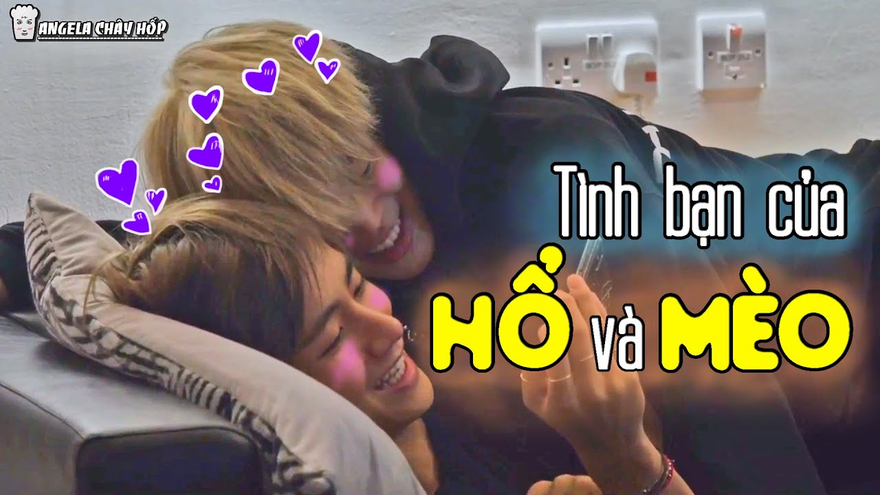 [BTS VMin] Tình bạn của Hổ và Mèo ~