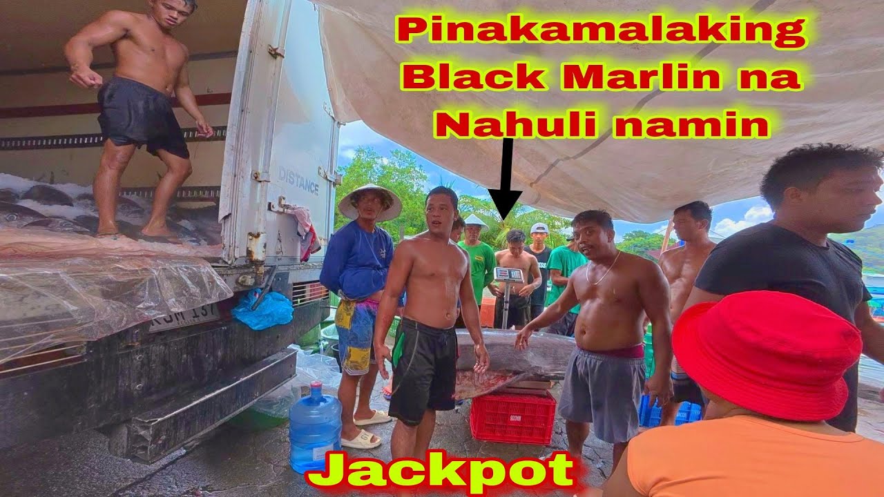 Pagbebenta Ng isda sa bicol | Pinakamalaking Black Marlin na Nahuli namin