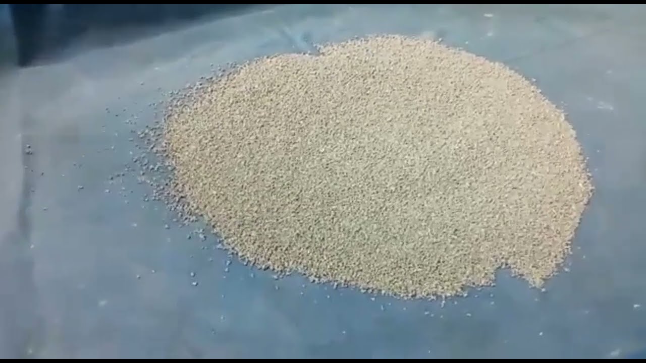 silkworm mating and laying egg #silkworm_Egg