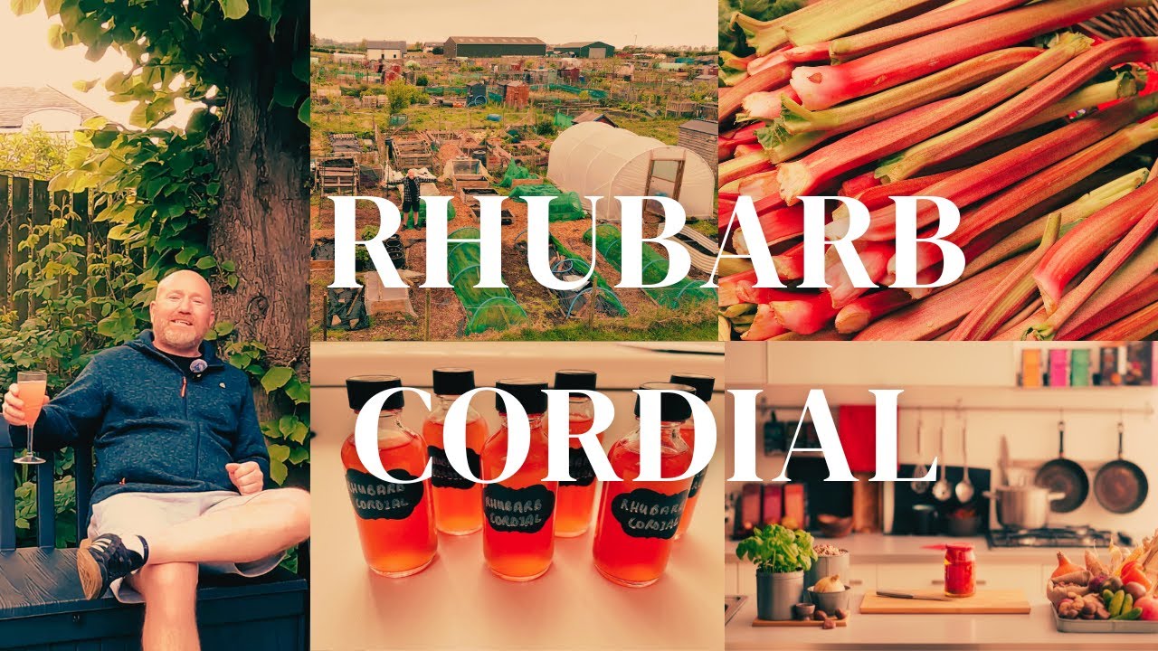 How to Make Easy Rhubarb Cordial With Only 5 Ingredients